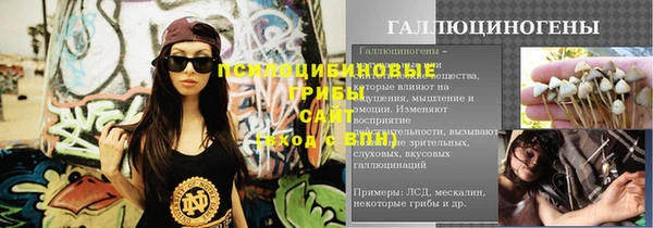 ALPHA PVP Белокуриха